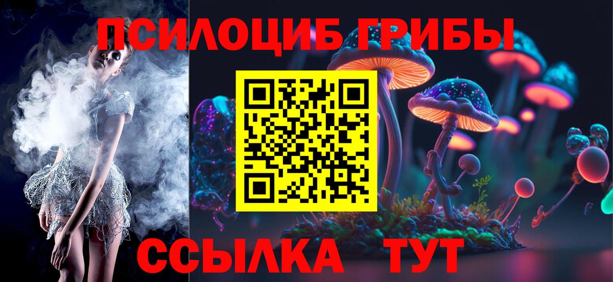 Псилоцибиновые грибы Psilocybe Владимир
